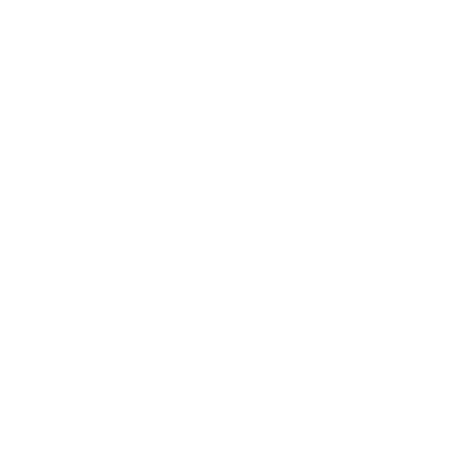 The Carpet Wash Company